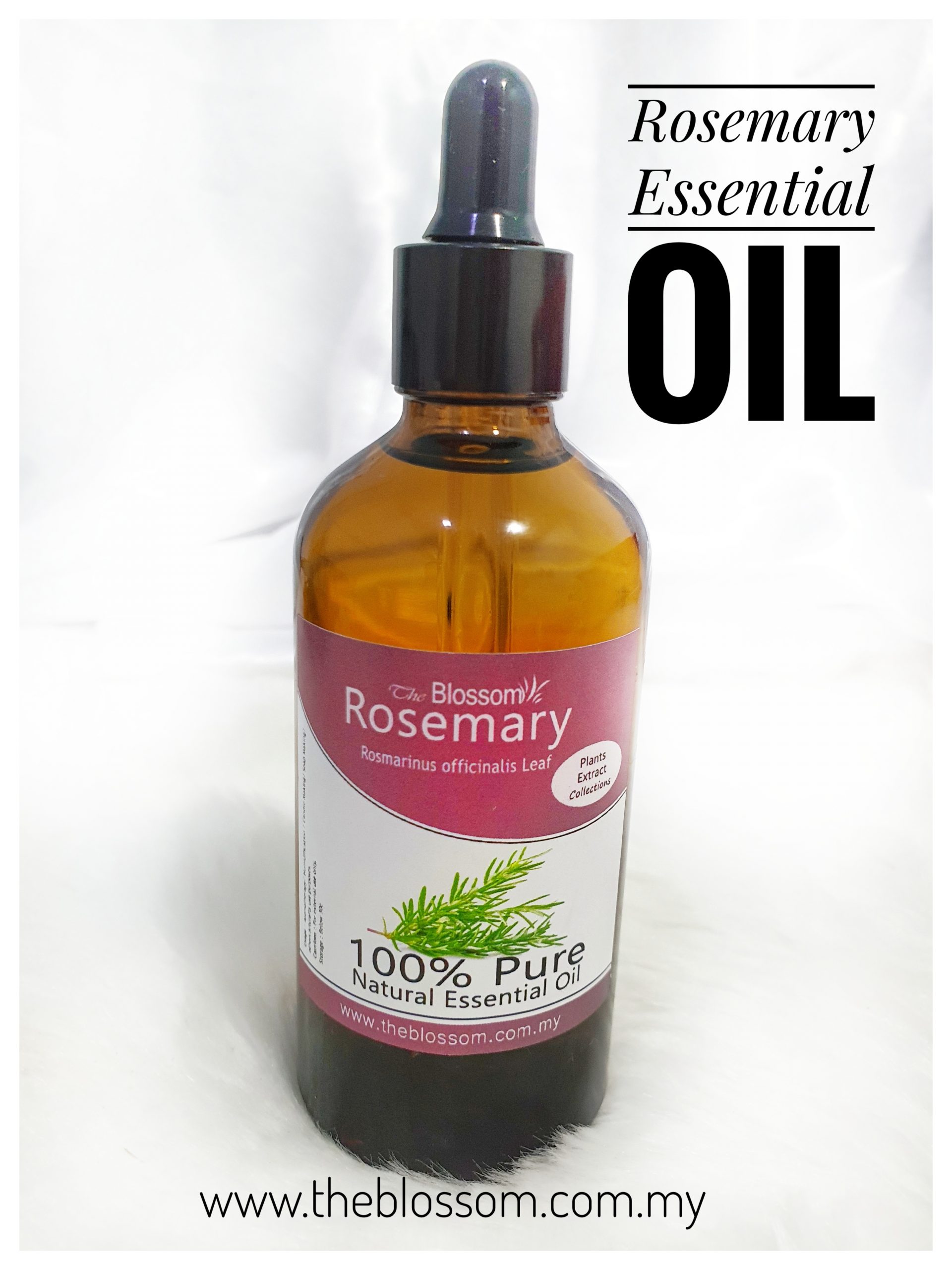 Rosemary French Essential Oil Rosemary French Essential Oil