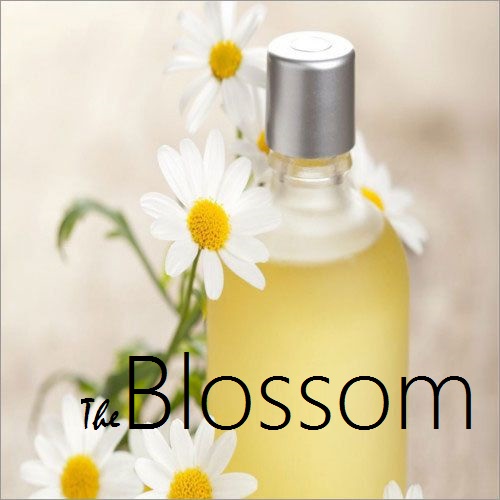 Chamomile-German-Hydrosol