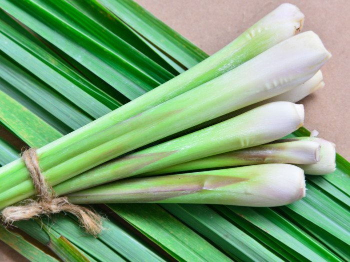 lemongrass1