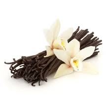 Vanilla Fragrance Oil
