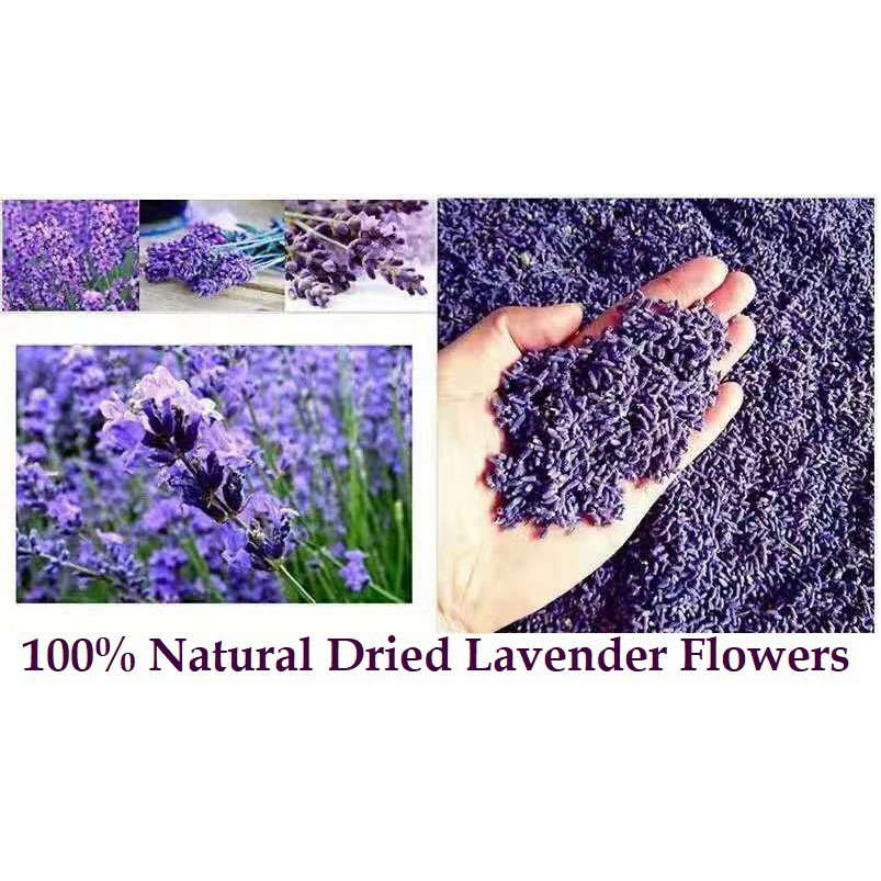 Shopee_515a7afd50b6fb752c8ee7a9d2409e0e