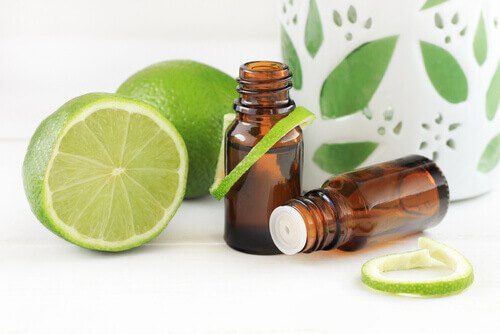 Lime Essential Oil Lime Essential Oil