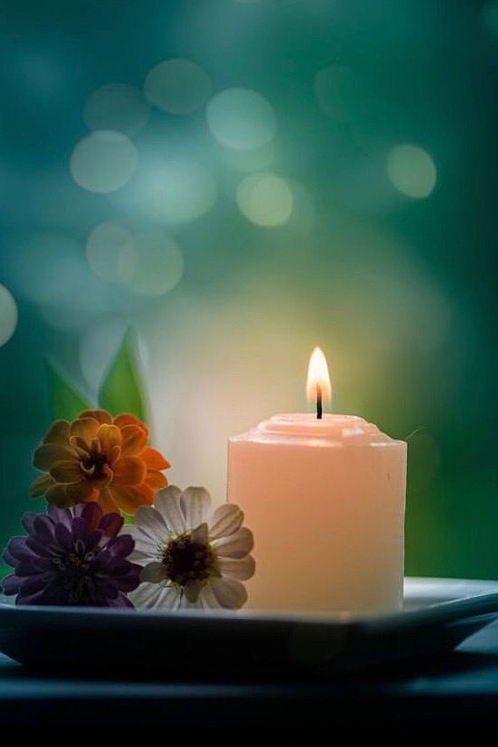 c2f88a47188ac606236d96835118ac2a